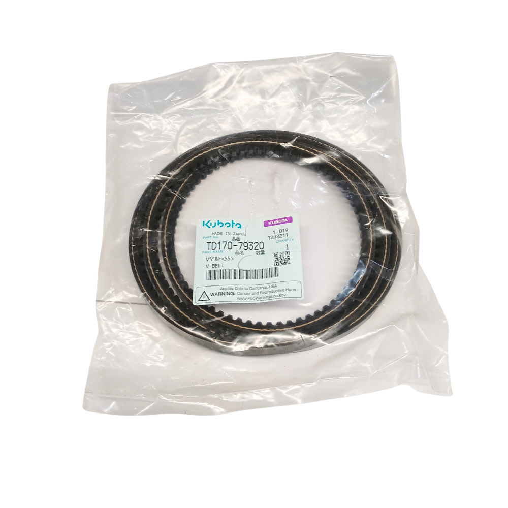 BELT (KU-TD17079320)