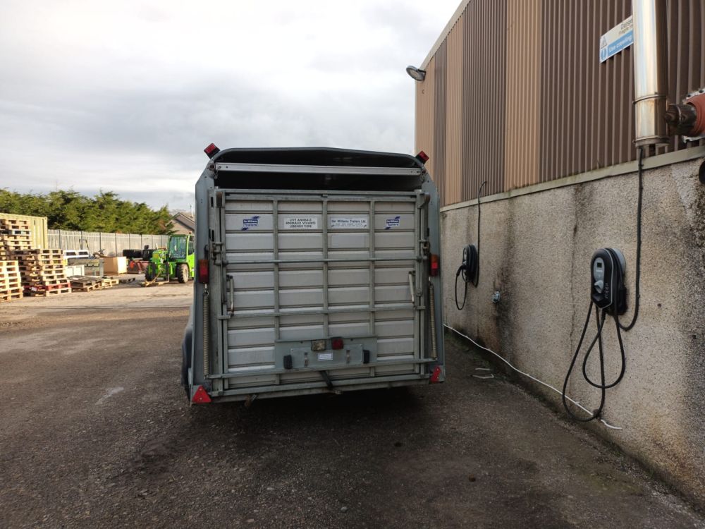 Ifor Williams TA5103 LIVESTOCK FLOAT (11037978) - Image 5